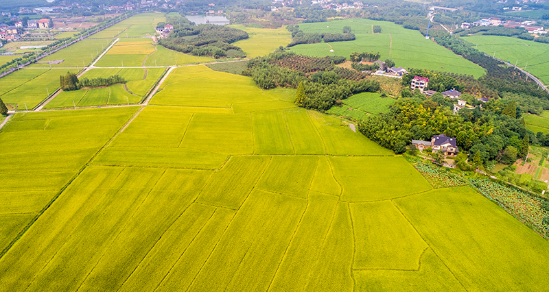 De rol van een handmatige staalkabellier in de landbouw